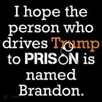 I Hope The Person Who Drives Trump To Prison Named Brandon Tall T-Shirt