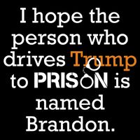I Hope The Person Who Drives Trump To Prison Named Brandon 16 in Basic Backpack
