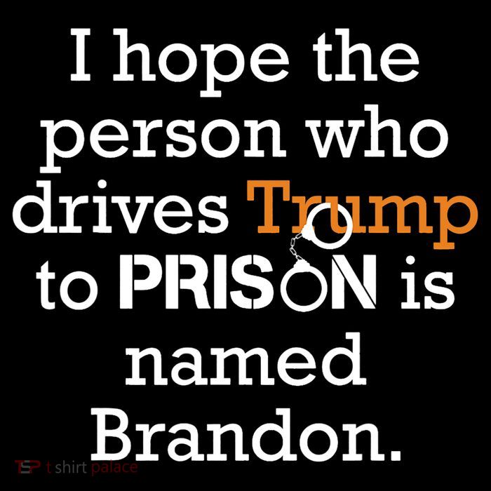 I Hope The Person Who Drives Trump To Prison Named Brandon 16 in Basic Backpack