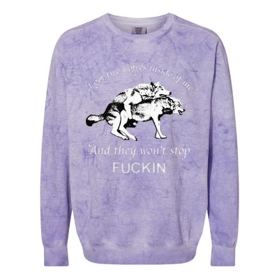 I Have Two Wolves Inside Of Me And They Won't Stop Fvcking Colorblast Crewneck Sweatshirt