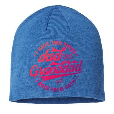 I Have Two Titles Dad And Granddad Gift For Funny Grandpa Gift Sustainable Beanie