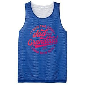 I Have Two Titles Dad And Granddad Gift For Funny Grandpa Gift Mesh Reversible Basketball Jersey Tank