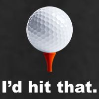 I'd Hit That Funny Golf 7 Panel Mesh Trucker Snapback Hat