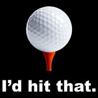 I'd Hit That Funny Golf USA-Made Doggie Bandana