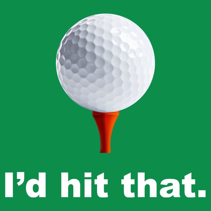 I'd Hit That Funny Golf Hoodie