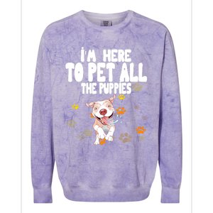 I'm Here To Pet All The Puppies Cute Puppies Lovers Colorblast Crewneck Sweatshirt