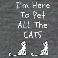 I'm Here To Pet All The Cats Mesh Reversible Basketball Jersey Tank