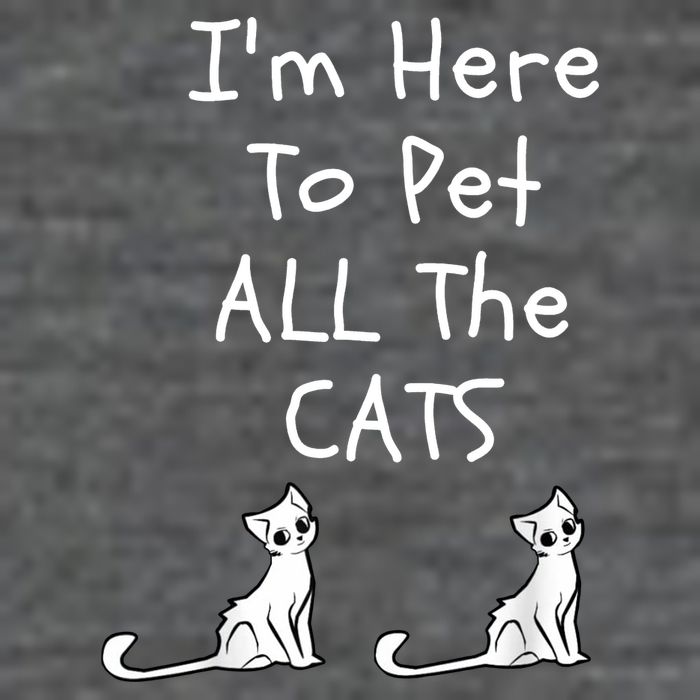 I'm Here To Pet All The Cats Mesh Reversible Basketball Jersey Tank