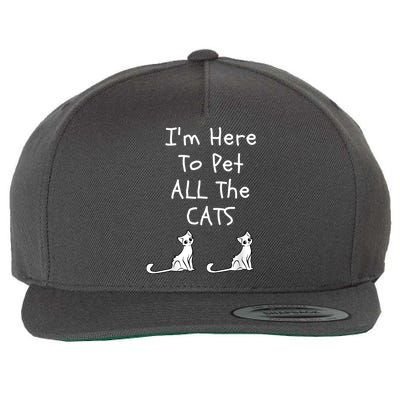 I'm Here To Pet All The Cats Wool Snapback Cap