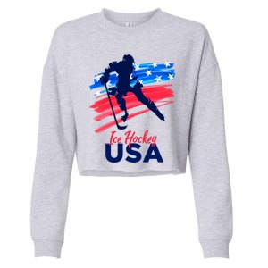 Ice Hockey Usa Support The Team Gift Usa Flag Hockey Lover Funny Gift Cropped Pullover Crew