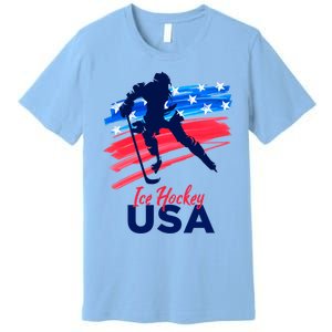 Ice Hockey Usa Support The Team Gift Usa Flag Hockey Lover Meaningful Gift Premium T-Shirt