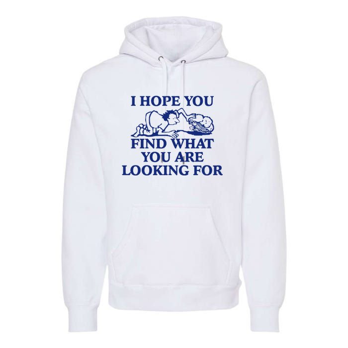 I Hope You Find What You Are Looking For Baby Blue Design Premium Hoodie