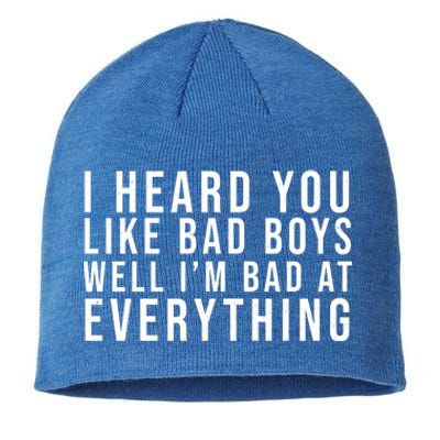 I Heard You Like Bad Boys Well I'm Bat At Everything Sustainable Beanie