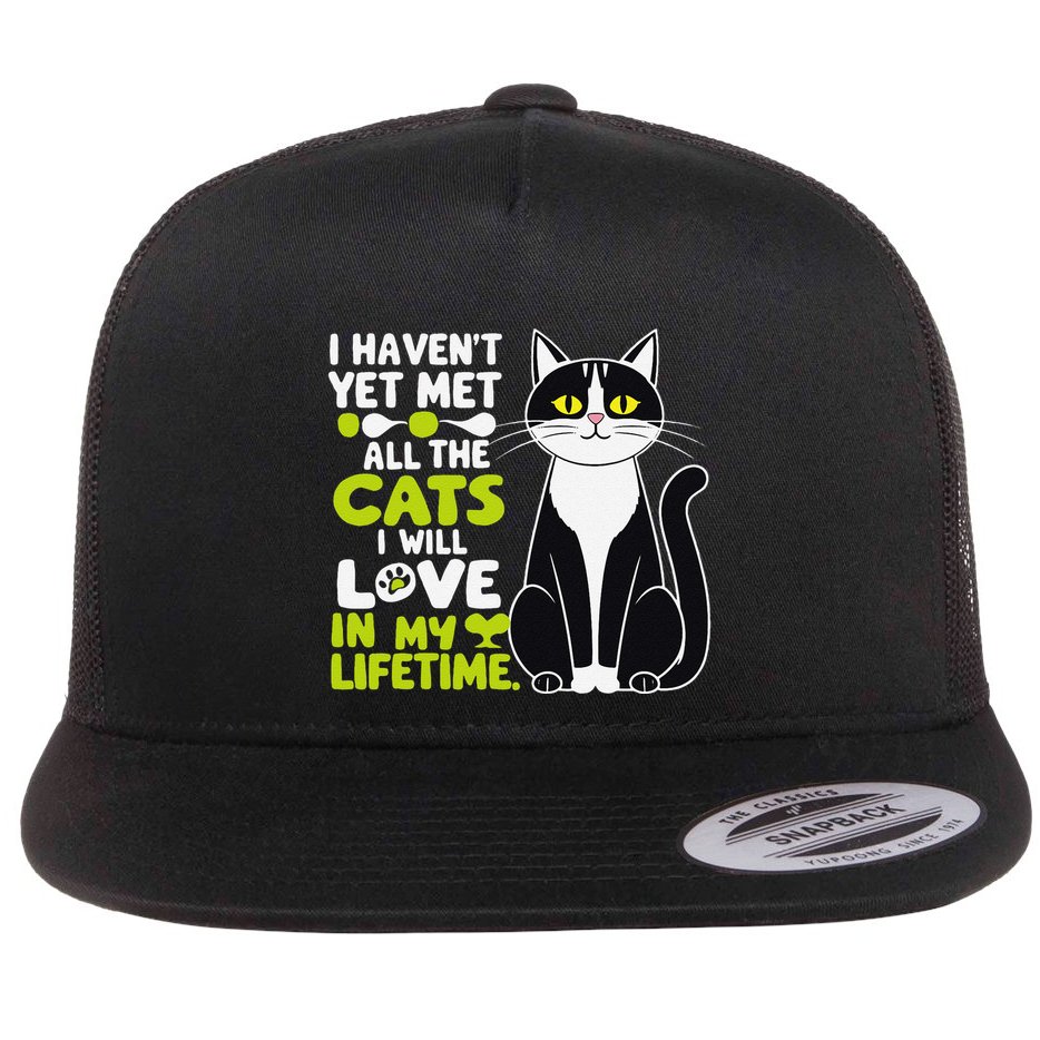 I Haven’T Yet Met All The Cats I Will Love In My Lifetime .Png Flat Bill Trucker Hat