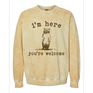 IM Here You Are Welcome Retro Colorblast Crewneck Sweatshirt