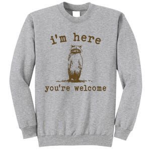 IM Here You Are Welcome Retro Tall Sweatshirt