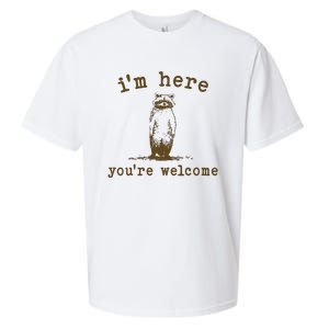 IM Here You Are Welcome Retro Sueded Cloud Jersey T-Shirt