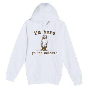 IM Here You Are Welcome Retro Premium Pullover Hoodie