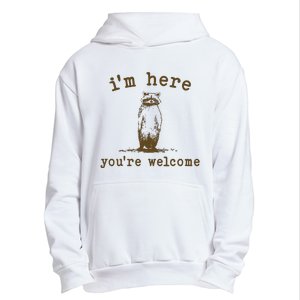 IM Here You Are Welcome Retro Urban Pullover Hoodie