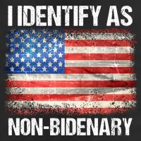 I Identify As NonBidenary Shirt Funny Anti Biden 7 Panel Mesh Trucker Snapback Hat