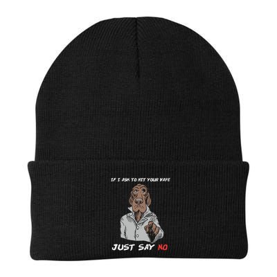 If I Ask To Hit Your Vape Just Say No Beanie