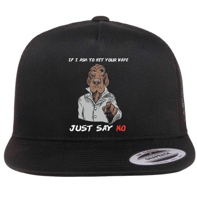 If I Ask To Hit Your Vape Just Say No Flatbill Hat