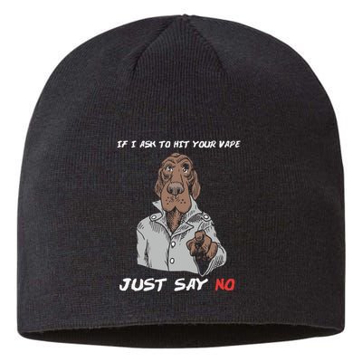 If I Ask To Hit Your Vape Just Say No Sustainable Beanie