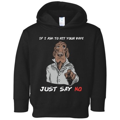 If I Ask To Hit Your Vape Just Say No Toddler Hoodie