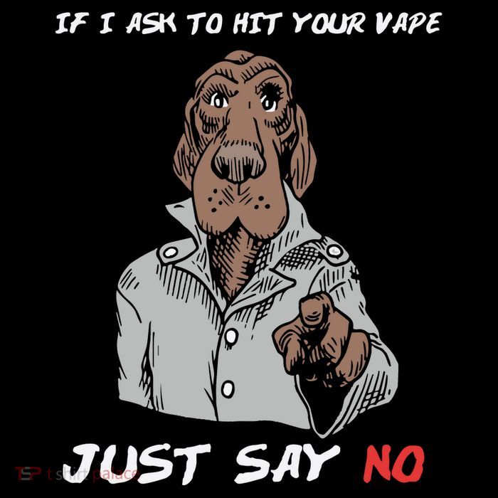 If I Ask To Hit Your Vape Just Say No Toddler Hoodie