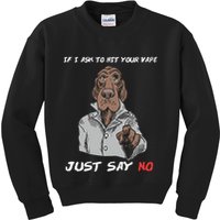 If I Ask To Hit Your Vape Just Say No Kids Sweatshirt