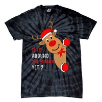 Is It Around The Corner Yet Christmas Funny Reindeer Lover Tie-Dye T-Shirt