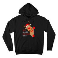 Is It Around The Corner Yet Christmas Funny Reindeer Lover Tall Hoodie