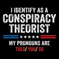 I Identify As A Conspiracy Theorist My Pronouns Are Told You Pom Pom 12in Knit Beanie