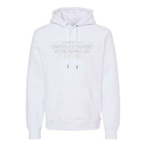 I identify as a conspiracy theorist pronouns are Told You so  Premium Hoodie