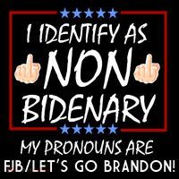 I Identify As Non Bidenary Funny My Pronouns Are FJB Lets Go Brandon Stripe Pom Pom Beanie