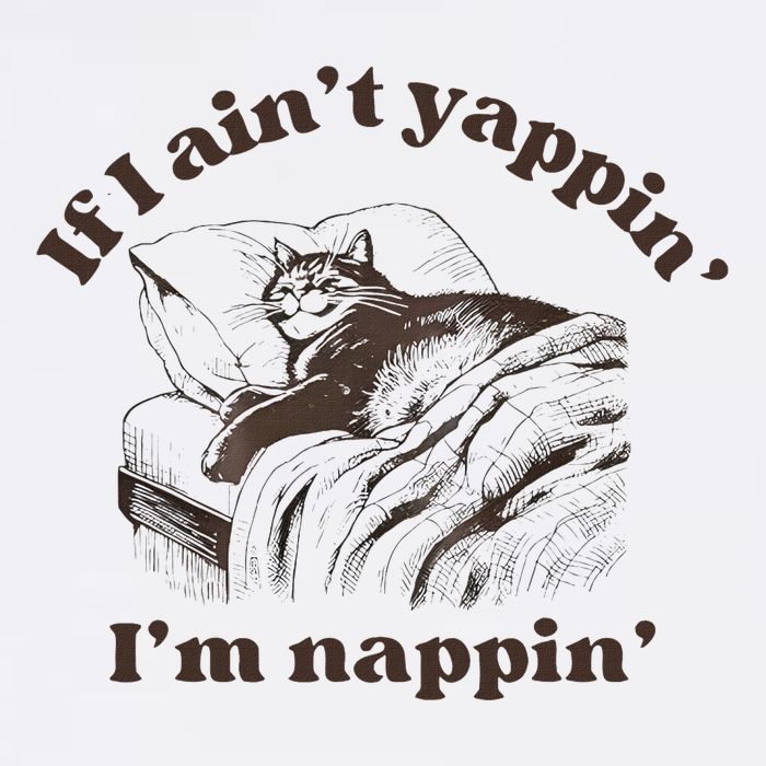 If I Aint Nappin Im Yappin Yapper Funny Cat Meme Wool Snapback Cap