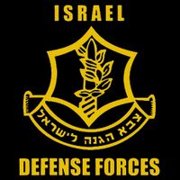 IDF Israeli Army. Israel Defense Force Small Logo Cooling Performance Crew T-Shirt