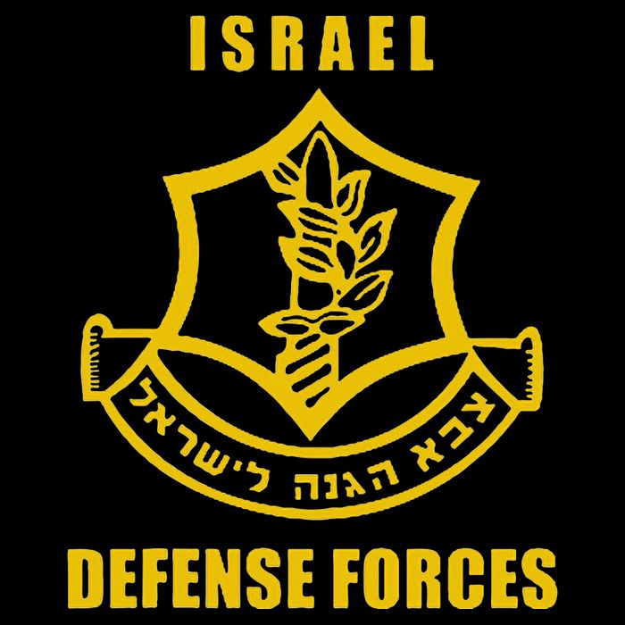 IDF Israeli Army. Israel Defense Force Small Logo Cooling Performance Crew T-Shirt