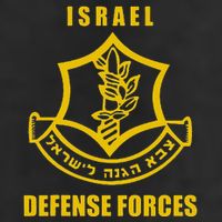 IDF Israeli Army. Israel Defense Force Small Logo Adult Drive Performance Visor