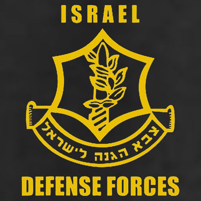 IDF Israeli Army. Israel Defense Force Small Logo Adult Drive Performance Visor