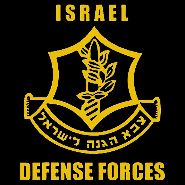 Idf Israeli Army Israel Defense Force Small Logo Cooling Performance Crew T-Shirt