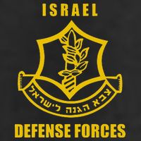 Idf Israeli Army Israel Defense Force Small Logo 11oz C Handle Ceramic Mug