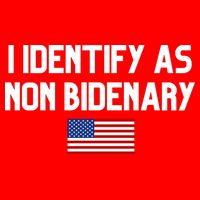 I Identify As Non Bidenary 16 in Basic Backpack
