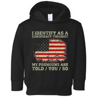 I Identify As A Conspiracy Theorist Vintage American Flag Toddler Hoodie