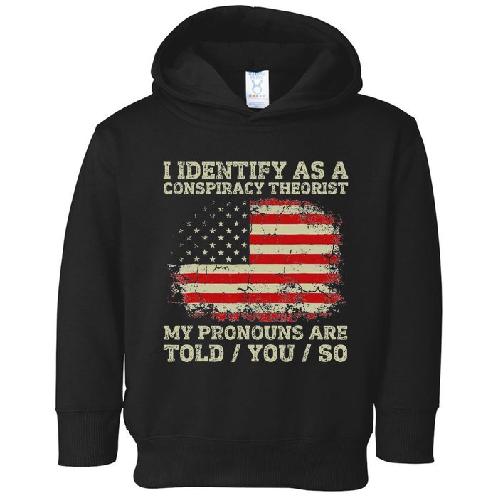 I Identify As A Conspiracy Theorist Vintage American Flag Toddler Hoodie