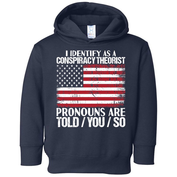 I Identify As A Conspiracy Theorist Pronouns Are Told You So Toddler Hoodie
