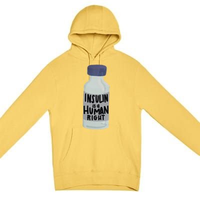 Insulin Is A Hu Right Diabetes Awareness Insulin Medicine Gift Premium Pullover Hoodie