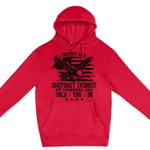 I Identify as a Conspiracy Theorist Pronouns Are Told You So Premium Pullover Hoodie