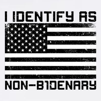 I Identify As Non B1denary USA American Flag T-Shirt