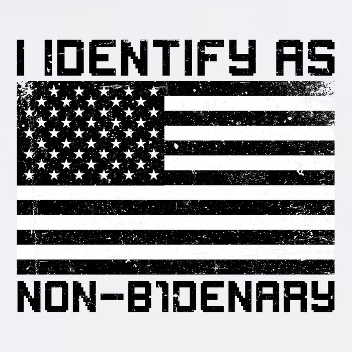 I Identify As Non B1denary USA American Flag T-Shirt